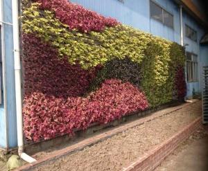 大连室外植物墙
